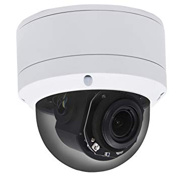 (Hikvision Compatible) Inwerang HD 1080P Outdoor/Indoor POE IP PTZ 2MP Dome Security Camera, 2.7-13.5mm Motorized 5X Zoom,Pan:0~355°/Tilt:0~90°, 98ft Night Vision, Audio RCA Interface,Motion,Onvif