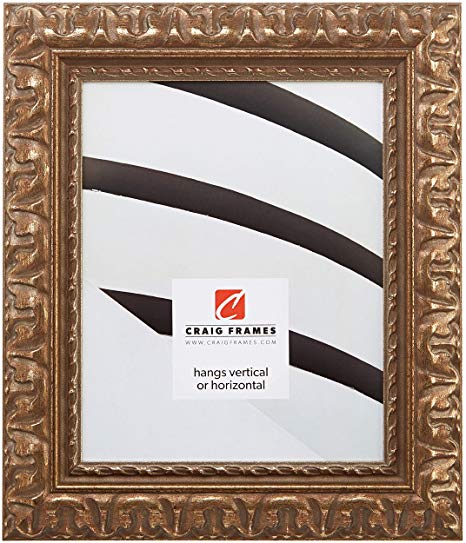 Craig Frames 21247906 16 by 20-Inch Picture Frame, Ornate Finish, 2.03-Inch Wide, Bronze and Gold