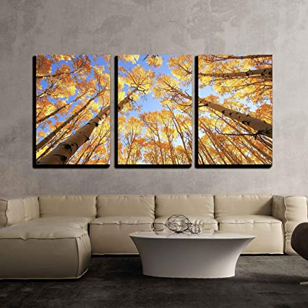 wall26 - Aspen Trees with Fall Color - Canvas Art Wall Decor - 24"x36"x3 Panels