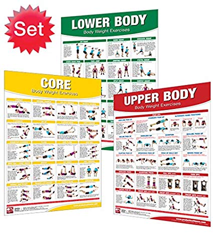 Productive Fitness Laminated Fitness Poster - Body Weight Exercises - Set of 3 (Upper Body, Lower Body, Core) - 24" x 36" Wall Chart for Home or Gym - Bodyweight Workout