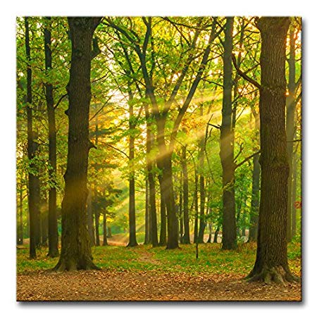 Wall Art Decor Poster Painting On Canvas Print Pictures Autumn Picture of The Forest at Dawn in The Sun Forest Landscape Framed Picture for Home Decoration Living Room Artwork