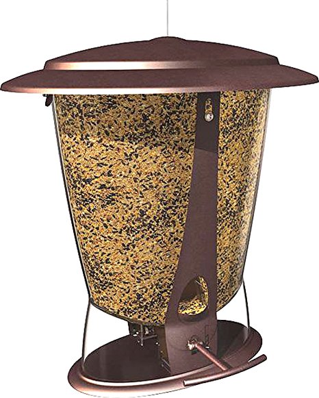 More Birds X-2 Squirrel-Proof Songbird Feeder with Two Feeding Ports, 4-Pound Seed Capacity