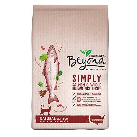 Purina Beyond Natural Dry Cat Food, Salmon and Whole Brown Rice Recipe, 6-Pound Bag, Pack of 1