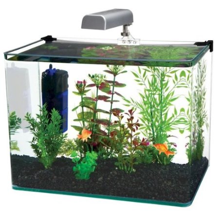 Penn Plax Curved Corner Glass Aquarium Kit 10-Gallon