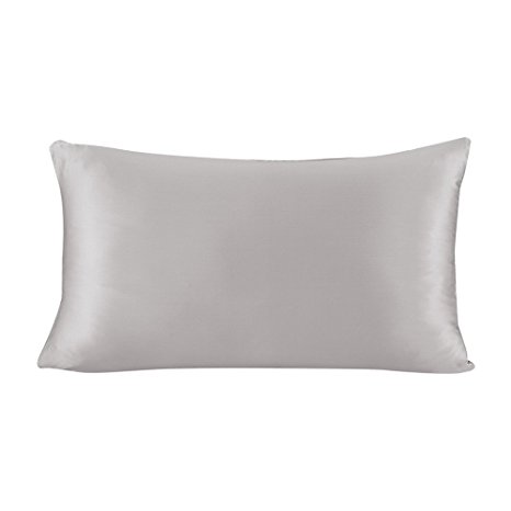 LILYSILK 19 Momme Pure Mulberry Silk Pillowcase for Hair With Hidden Zipper Silvergray Standard 20x30 inches