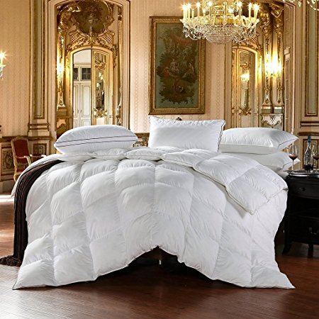Egyptian Bedding All-Season Twin Size Luxury Siberian Goose Down Comforter Duvet Insert 750FP 1200 Thread Count 100% Egyptian Cotton (Twin, White Solid)