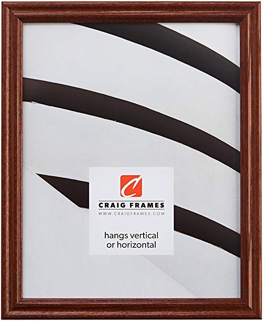 Craig Frames 200ASH216 18 by 24-Inch Picture Frame, Wood Grain Finish, 0.75-Inch Wide, Walnut Brown