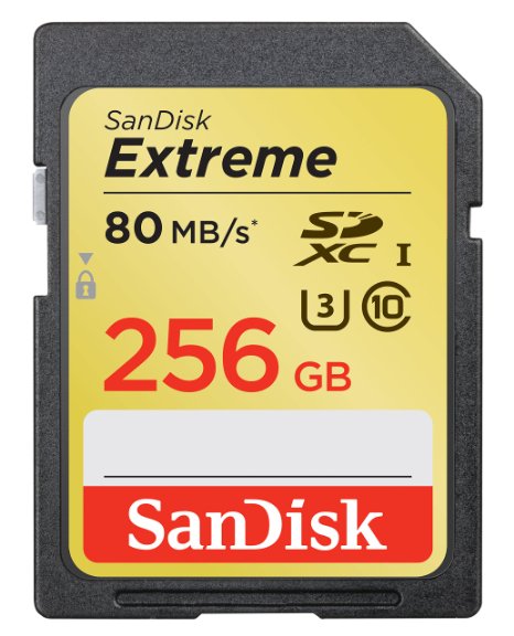 SanDisk Extreme 256GB U3UHS-I SDXC with 4K Ultra HD Up to 80MBs Read60MBs Write- SDSDXN-256G-G46Older Version