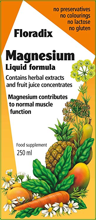 Salus-Haus - Floradix Magnesium Liquid - 8.5 oz