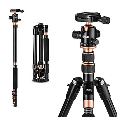 TYCKA 55” Ultra Compact and Lightweight Aluminum Tripod with 360° Panorama Ball head, ideal for travel and work (Renewed)