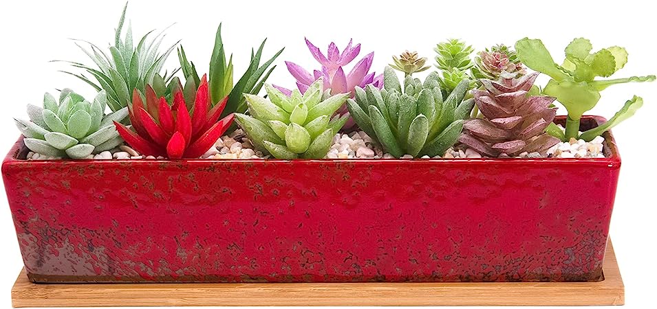 ARTKETTY Succulent Pots - Large Succulent Planter Pots with Drainage, 12 Inch Long Rectangle Bonsai Pot with Bamboo Tray Shallow Ceramic Cactus Flower Planter Window Box for Home Garden Decor (Red)