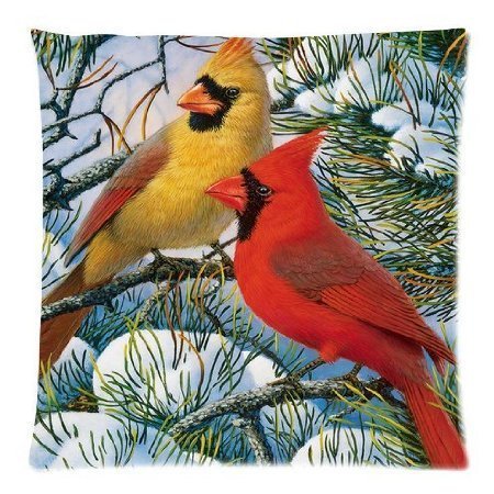 Donnie Funny Red Cardinal Bird Art 18X18 Inch Decor Soft Throw Pillow Cover