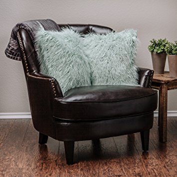 Chanasya Soft Shaggy Fuzzy Mangolian Faux Fur Cozy Elegant Chic Decorative Aqua Blue Throw Pillow Cover Pillow Sham- Turquoise Teal 2-Pack Throw Pillowcase 18x18 Inches (Pillow Insert Not Included)