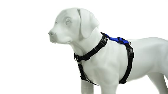 Blue-9 Dog Balance Harness Buckle Neck