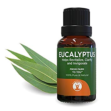 GuruNanda Eucalyptus Essential Oils | Heal with Nature | Pure & Natural Therapeutic Grade Aromatherapy Oil for Diffuser | Humidifier I Promotes Clear Breathing | Undiluted 15ml