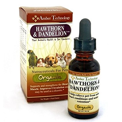 Hawthorn & Dandelion 4 oz by Amber Technology
