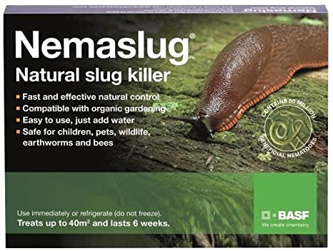 Nemaslug Slug Killer Standard Pack treats 40 sq m