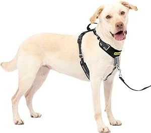 PetSafe Easy Walk Comfort No-Pull Dog Tactical Harness Full-Body Padding - Better Walks on The First Use - 5 Points of Adjustment Large, Black