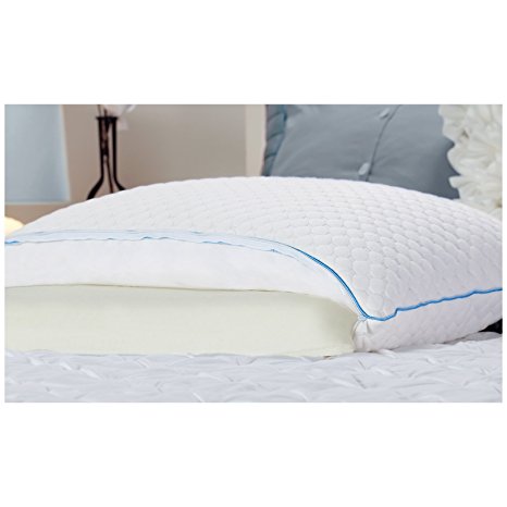 Sealy Half & Half Bed Pillow