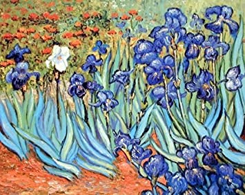 Vincent Van Gogh Irises Flower Floral Garden Fine Art Print Poster (16x20)
