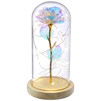 BEFINR Beauty and The Beast Rose Enchanted Flower with LED Light in Glass Dome for Christmas Valentine's Day Mother's Day Birthday Best Gifts for Girlfriend Wife Women Her - Colorful