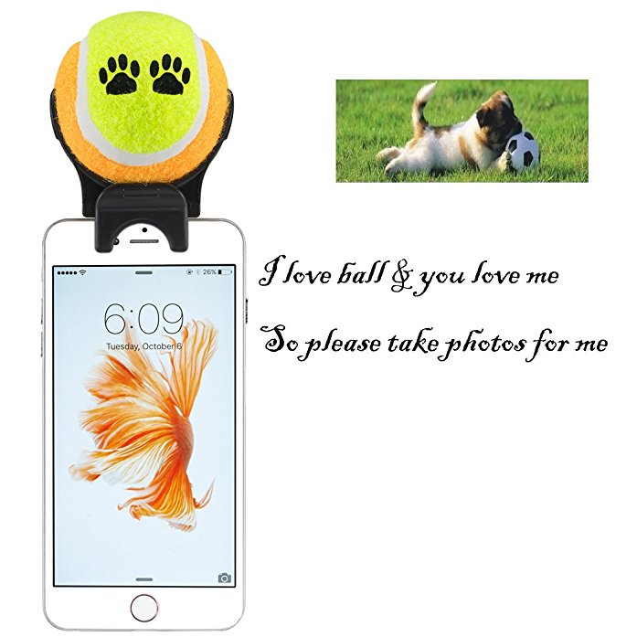 Smartphone Attachment Selfie Stick for Pet - Pet Selfie Stick - Pet agility training - pet toy (yellow orange)
