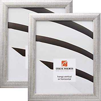 Craig Frames 23247944 24 x 30 Inch Picture Frame, Scratched Silver, Set of 2