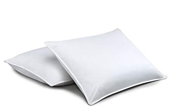 Standard Textile Chamberloft Down Pillow, Set of 2, King (20x36 inches)