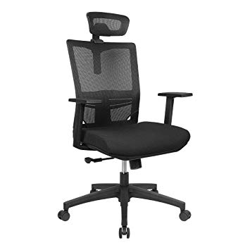 HomyLink Home Office Chair Ergonomic Comfortable Mesh High Back with Adjustable Headrest Armrest Seat Height Tilt Tension Lumbar Support Spine Protection