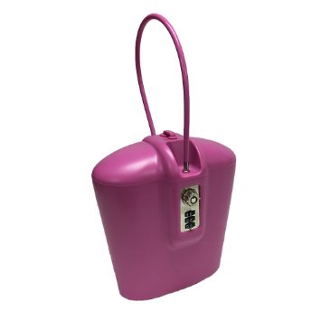 SAFEGO Portable Travel Lock Box Safe with Key and Combination Access (Pink)