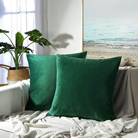 JUSPURBET Velvet Pillow Covers 18x18 Inches,Pack of 2 Decorative Throw Pillow Covers for Sofa Couch Bed, Super Soft Throw Pillows Cases,Dark Green