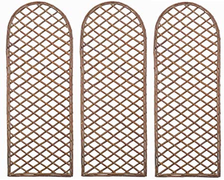 Selections Set of 3 Willow Trellis Framed Panel with Curved Top (120 x 45 Centimeter)