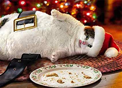 Avanti Press Christmas Cards, Fat Cat & Cookie Crumbs, Count of 10 (701340)