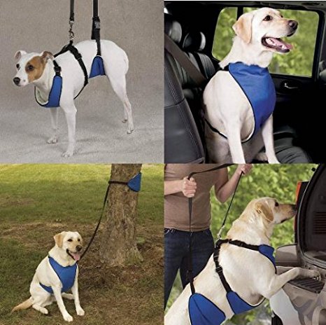 Guardian Gear Nylon Lift and Lead 4-In-1 Dog Harness