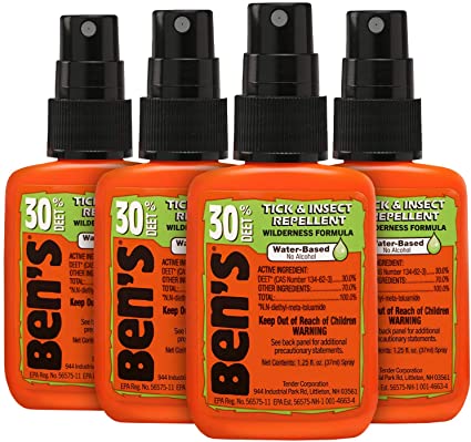 Ben's 30 Insect Repellent Pump 1.25 oz (Pack of 4)