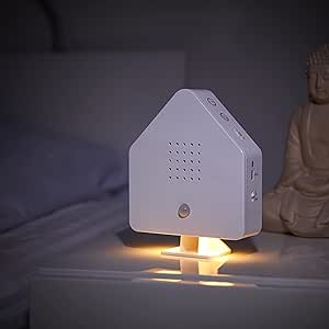 Northpoint Nature Sound Box Vogelgezwitscher Vogelgeräusche Box Motion Sensor Vogelgeräusche Licht Wiederaufladbar mit Wandhalterung Weiß Cottage