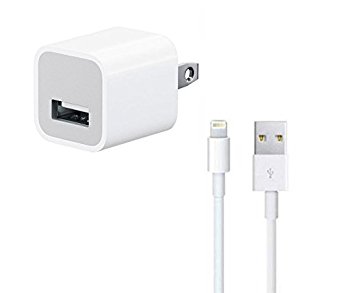 iPhone Charger 2Amp by ZEBRA | 1m Lightning Cable (Travel USB Wall Charger Wall Plug Wall Adapter Power Adapter) for iPhone 5/5c/5s/6/6/7/ 7 Plus iPad 2, iPad Air, All Devices Bundle Package
