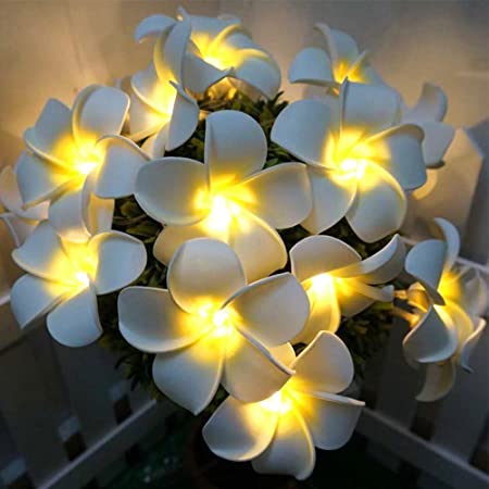 AceList Frangipani 20 LED String Light Hawaiian Foam Artificial Plumeria Flower Battery Powered Fairy Starry Lights for Wedding Beach Party(Warm White)