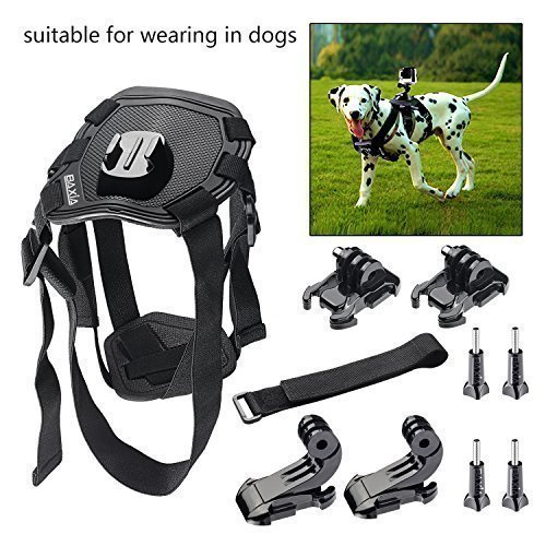 BAXIA TECHNOLOGY Dog Harness Chest Mount for Dog Chest Harness Chest Strap Accessories Kit for GoPro HERO 4 Black GoPro HERO 4 Silver GoPro HERO 3  GoPro HERO 3 GoPro HERO 2 and SJ4000 SJ5000 SJ6000 Sports Camera Camcorder Accessory Kit