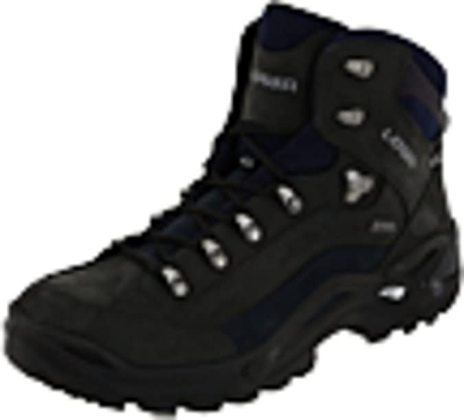 Lowa Men's Renegade GTX Mid Hiking