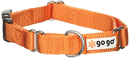 GoGo Martingale Dog Collar 3/4-Inch, Medium,