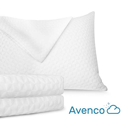 Avenco Pillow Protectors Cases Allergy Control, Hypoallergenic Dust Mite & Bed Bug Zippered Covers (2 Pack) Queen White