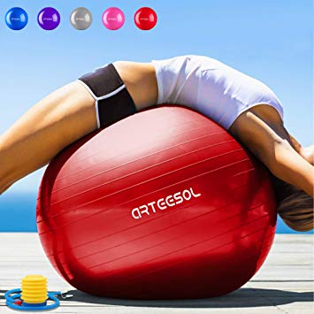 Arteesol Anti-Burst Exercise Ball, Fitness Balance Swiss Ball with Quick Pump 45/55/65/75cm Anti-Slip Yoga Ball Heavy Duty Gym Ball for Physical Therapy, Gym and Home Exercise