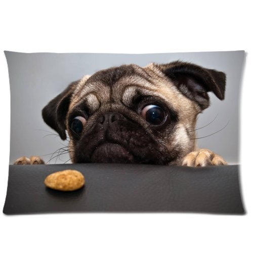 Best funny cute pug dog Throw Pillow Case Decorative Cushion Cover Pillowcase 20x30 (twin sides) Zippered for Sofa