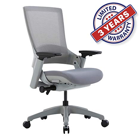 Ergonomic High Swivel Executive Chair with Adjustable Height 3D Arm Rest Lumbar Support and Mesh Back for Home Office (Gray)