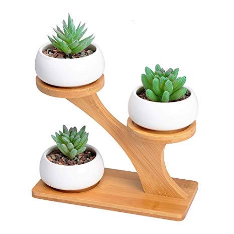 3pcs White Ceramic Succulent Pots with 3 Tier Bamboo Saucers Stand Holder - Modern Decorative  Flower Planter Plant Pot with Drainage - Home Office Desk Garden Mini Cactus Pot Indoor Decoration