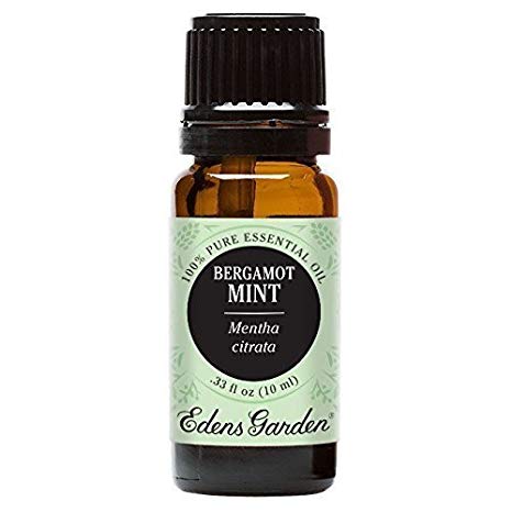 Edens Garden Bergamot Mint 10 ml 100% Pure Undiluted Therapeutic Grade Essential Oil GC/MS Tested