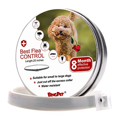 BINGPET Flea and Tick Collar Prevention for Dogs - 8 Month Dog Flea Treatment Collar One Size Fits ALL Pet Pest Control Collars