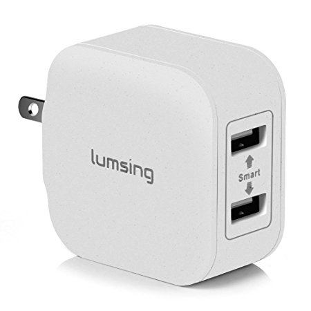 Lumsing 2-Port USB Wall Charger Hub 20W Charging Station with Foldable Plug Power Adapter for iPhone 6S Plus Smartphones and Tablets(Grey)