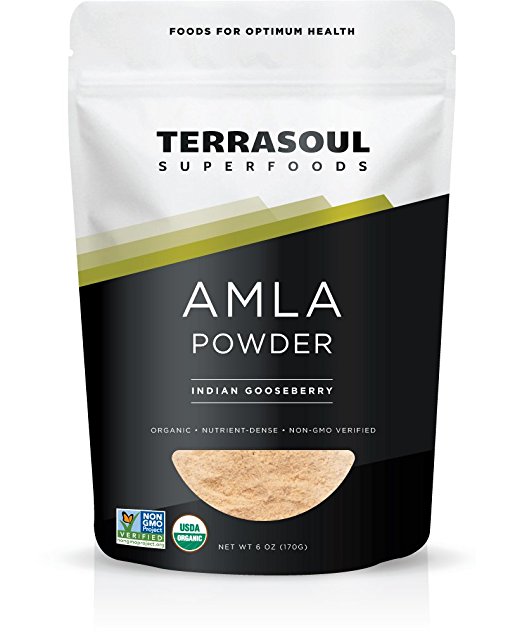 Terrasoul Superfoods Amla (Amalaki) Berry Powder (Organic) (6 Ounces)